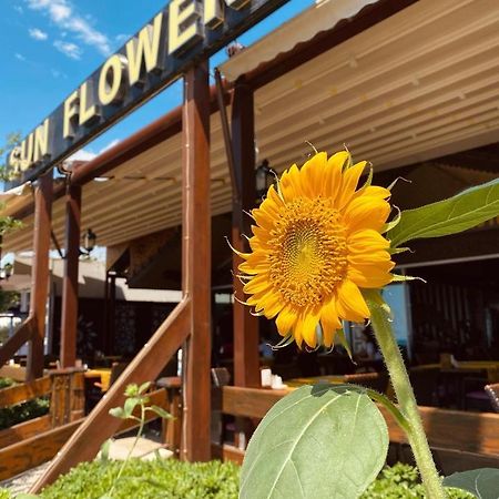 Sun Flower Apart Hotel Side Exteriör bild